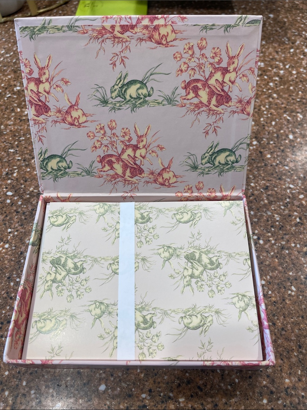 Vintage “McGregor‘s Garden” cottage Bunny Toile Stationery Box Set